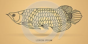 Arowana Fish graphic vector.