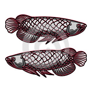 Arowana Fish Vector Graphic Design illustration Emblem