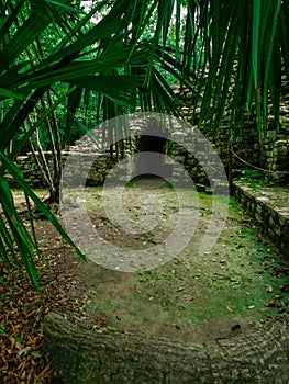 Arqueological maya zone of Coba