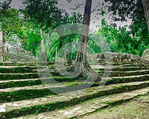 Arqueological maya zone of Coba photo