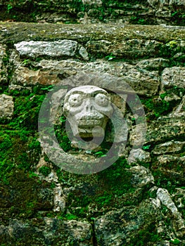 Arqueological maya zone of Coba photo