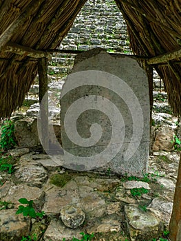 Arqueological maya zone of Coba photo