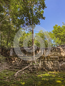 Arqueological zone of Balamku photo