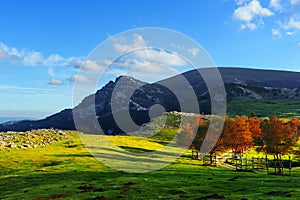 Arraba fields in Gorbea