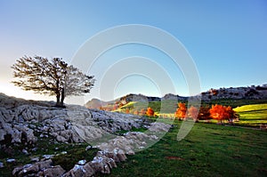 Arraba lands in Gorbea with lonely tree