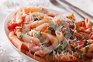 Arrabiata Pasta with Parmesan on a plate macro. horizontal