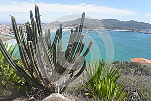 Arraial do Cabo - Brasil photo