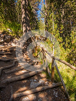 Arranged forest trail path in olympus national park