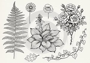 Arranged on a plain background, emphasizing the natural beauty and