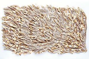 Arranged small dried fish and shrimp on white background