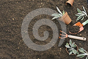 Arranged tools gardening soil. High quality and resolution beautiful photo concept