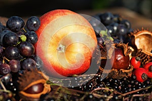 Arrangement of autumnal fruits