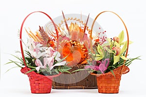 Arrangement of beautiful fresh flowers in wooden basket