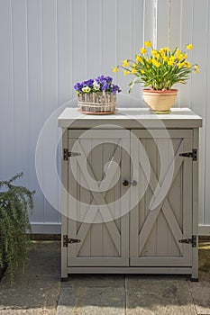 Arrangement of daffodils (narcissus) and homet violets (viola comuta) on a little cabinet