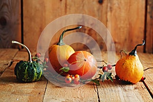 Arrangement of decorative pumpkins