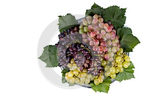 Arrangement of different grape varieties