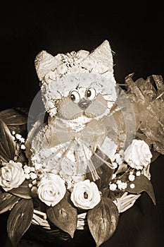 Arrangement of flowers kitten