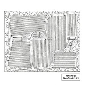The arrangement maximizes use of the land with evenly spaced