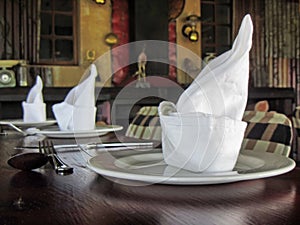 Arrangement of napkins on plates
