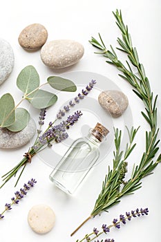 Natural spa elements on white