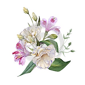 Arrangement of Orchid Flowers. Isolated on a white background.