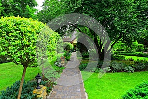 Arrangement of a path among vegetation in the home garden photo