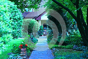 Arrangement of a path among vegetation in the home garden photo