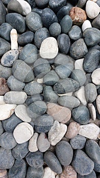 Arrangement of pebbels