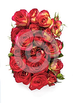 Arrangement of red roses