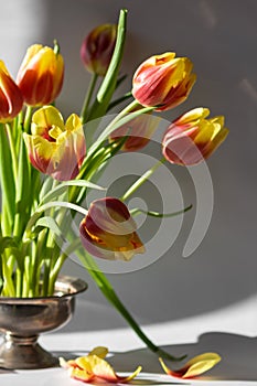 Arrangement of red and yellow tulip flowers on pin frog in vintage vase. Spring ikebana decor with japanese kenzan.