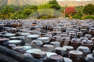 Arrangement of Traditional pottery earthern jar of fermentation korean souce