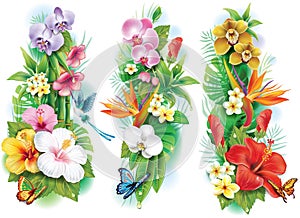 Anordnung tropisch Blumen 