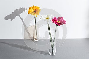 Arrangement of vibrant flowers in unique glass vases placed atop a modern, grey table surface