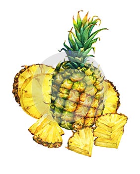 Arrangement with whole and slice pineapple.