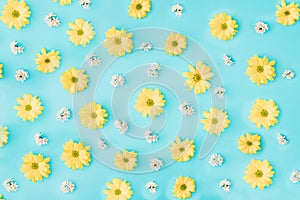 Arrangement yellow and white flowers on blue pastel background. Flat lay pattern.