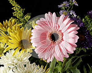 Arrangements blooming bouqet flowers photo