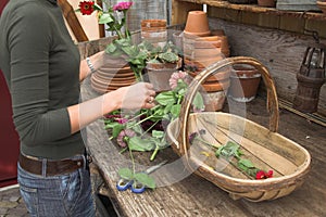 Arranging the flowers