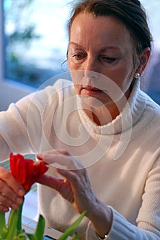 Arranging Flowers