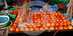 arranging tomatoes in vegetable container at shop in India