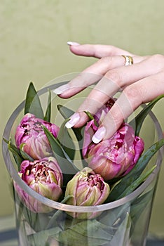 Arranging tulips