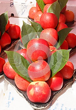 Arrangment of red apples for sale