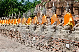 Array of Buddhas in meditation