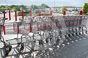 An array of Costco pushcarts