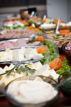 Array of food on buffet table