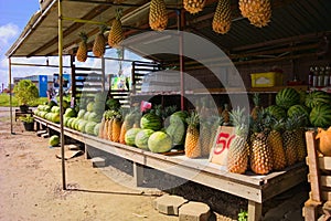 a display of pineapples, melons and other fruit on top of tables