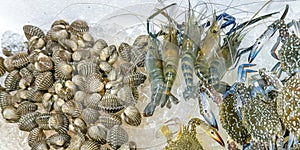 Array of fresh seafood, with glistening live crabs, prawns and a pile of shellfish on ice cubes