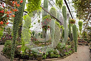 An array of hanging potted flowering plants.