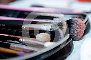 Array of makeup brushes in a variety of styles and shapes on a flat surface