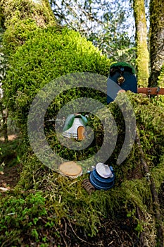 Array of man-made wooden nests on a tree branch in a lush forest environment