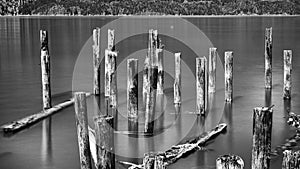 An array of pilings appear as protective sentinals in monochrome image